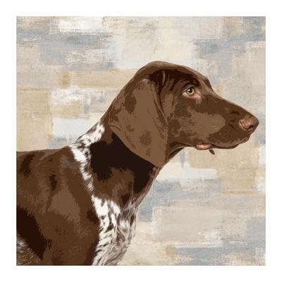 German Short Haired Pointer Dog Print approx 16 x 12 FREE UK POSTAGE